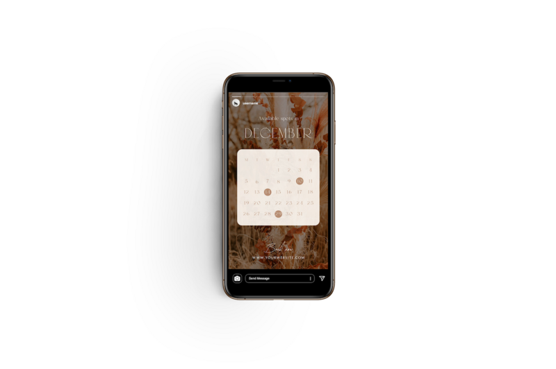 Boho Instagram story templates for photographer Honey Seed 2