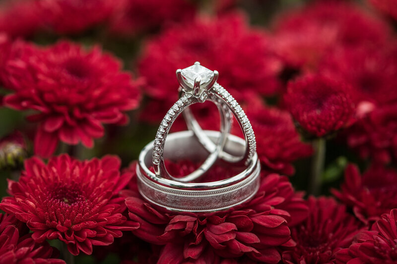 Ring Virginia MP