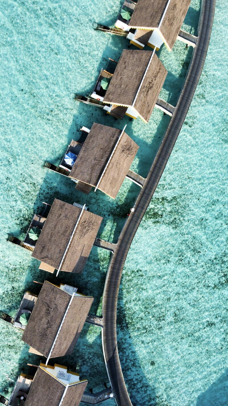 RemoteMediaFile_6554020_0_2022_02_03_07_57_04 2