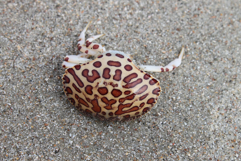 page-slider-shelling-2