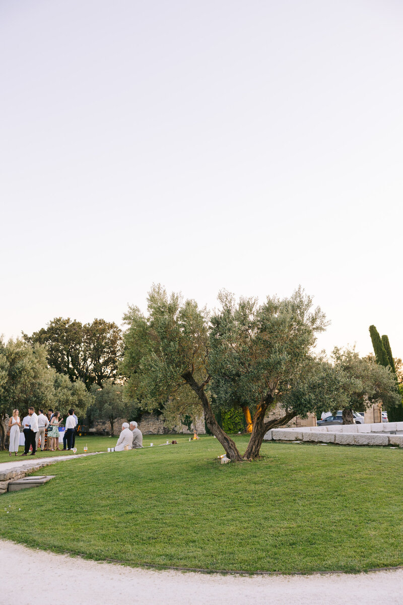 Photographe mariage domaine de sarson grignan victoria le petit-121