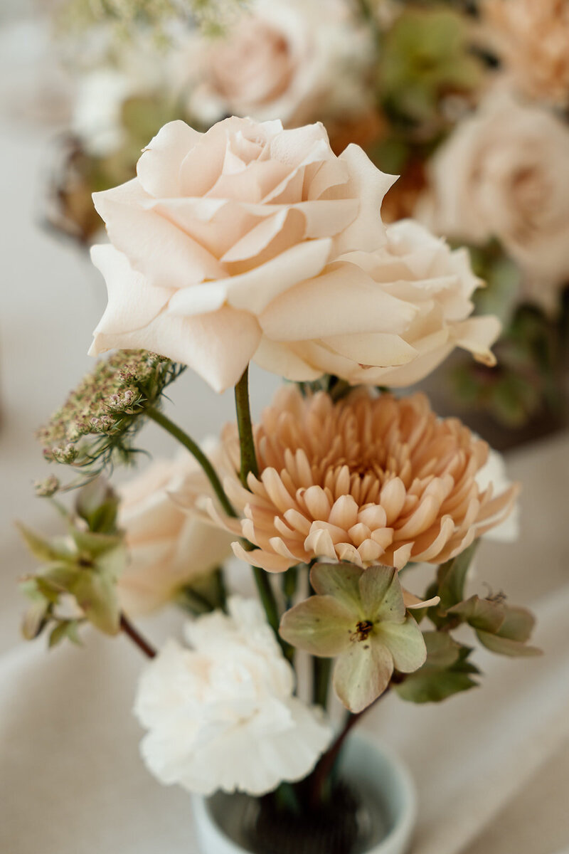 WildMagnoliaEvents+DesignBrandingSession_0070