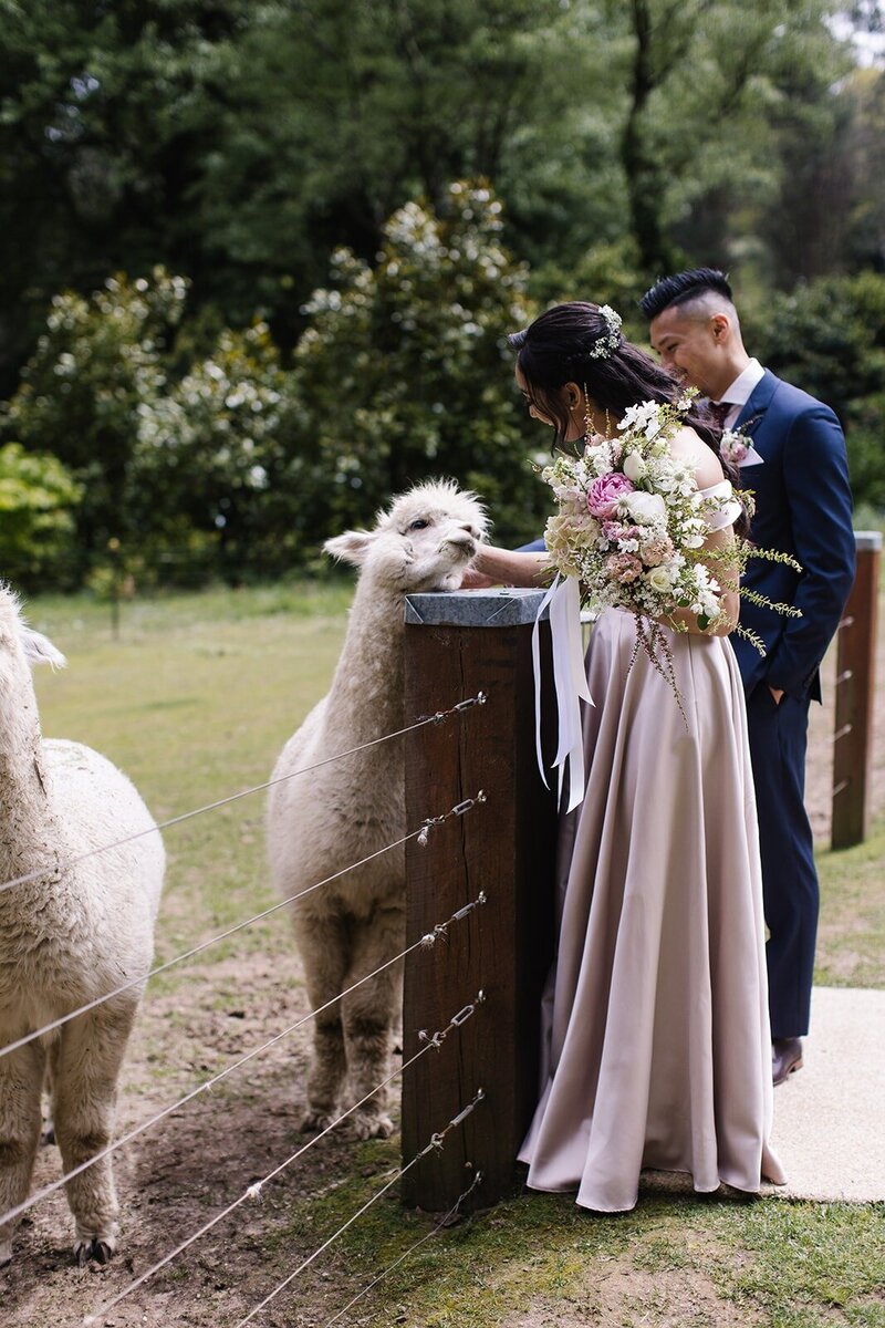 A bride and groom standing in front of a large bush for wedding photos