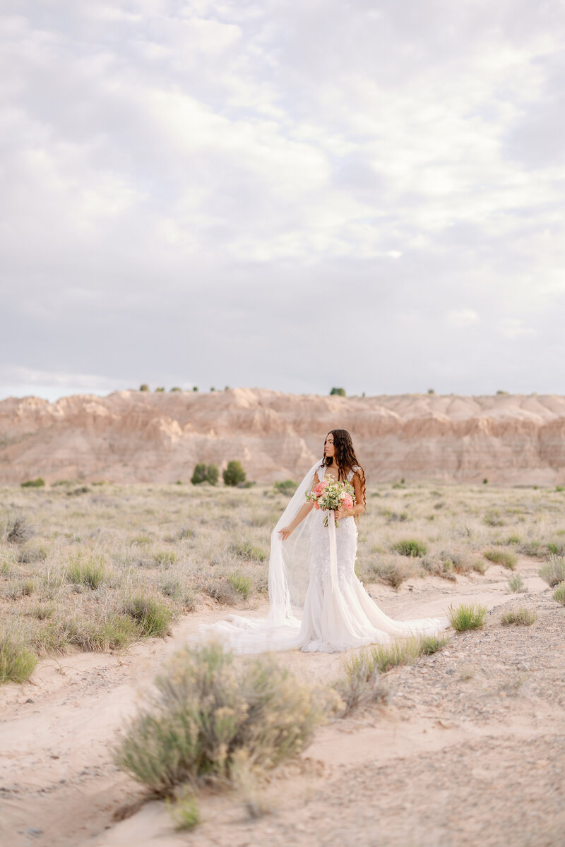 cathedral.gorge.bridals49