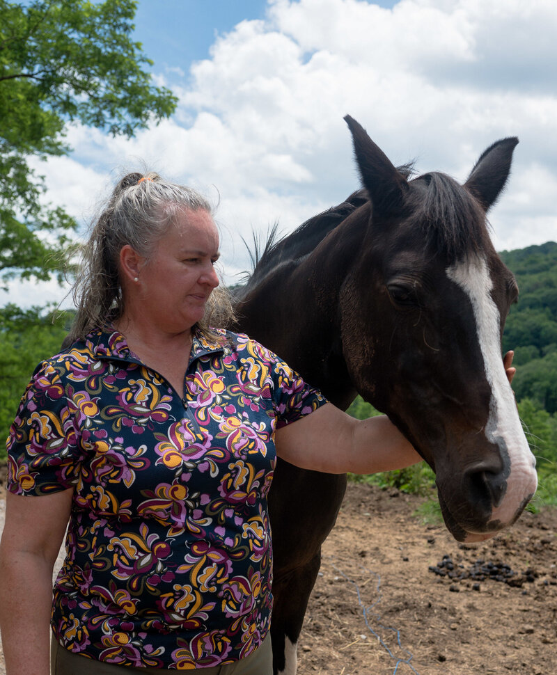 Equine Bodywork Hand on Horse's Head