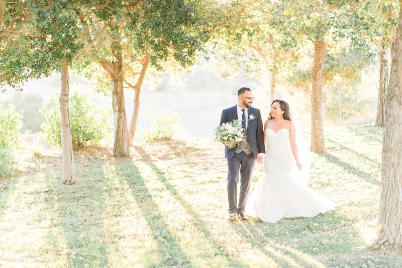 Vellano Estate Chino Hills California Wedding-19