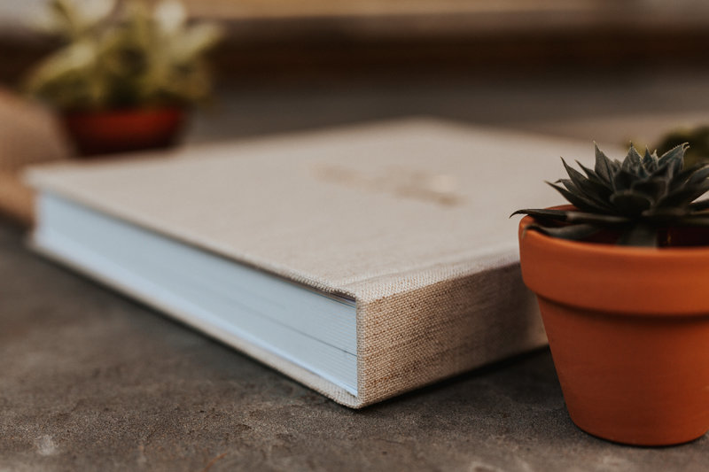 Album_Sample_2019-11