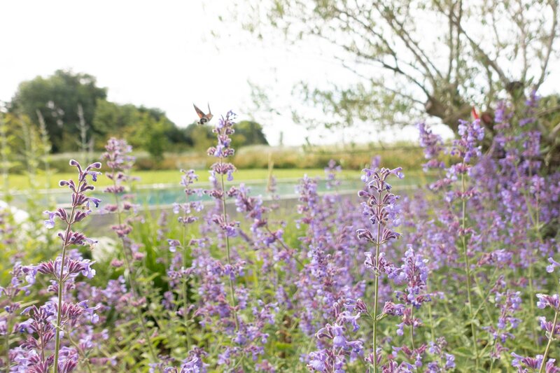 HORUS PAYSAGES_STANISLAS JUNG_architecte paysagiste yvelines-30