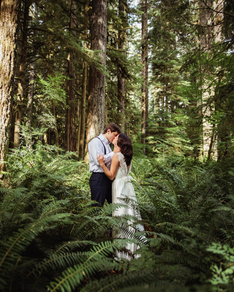 bride and groom in trees at rustic backyard wedding  in Salem, Oregon