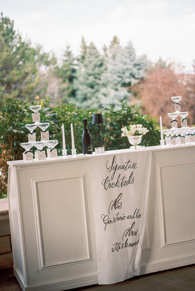 Spring-Intimate-Wedding-Northern-Virginia-on-35mm-Film-17