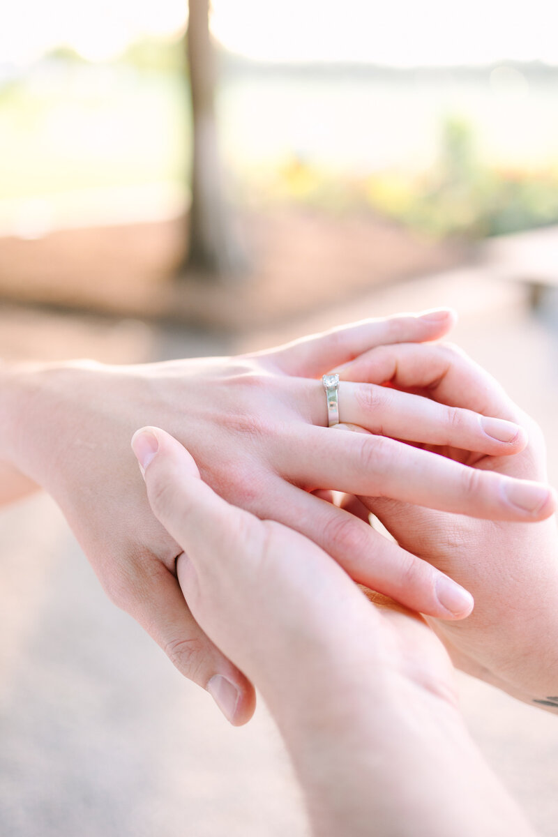 Chicago Proposal Photographer captures forest park st louis engagement session