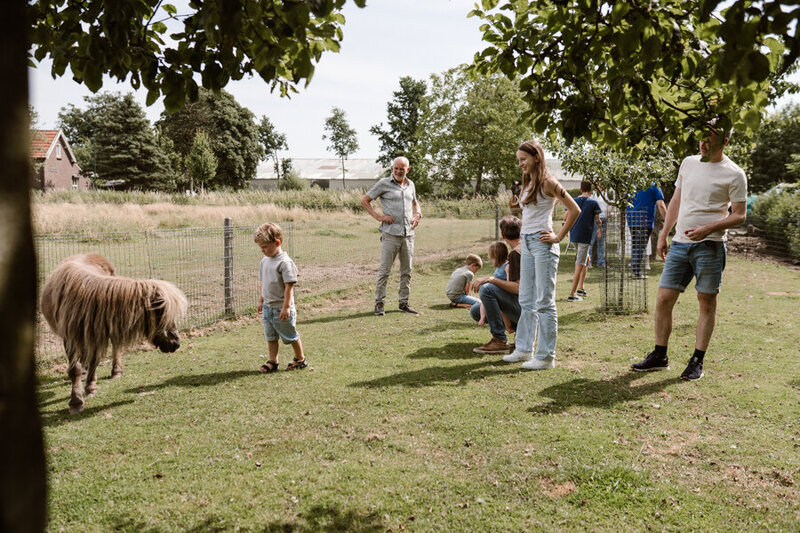 grote familie shoot buiten. Samen een wandeling maken. Dieren voeren. 