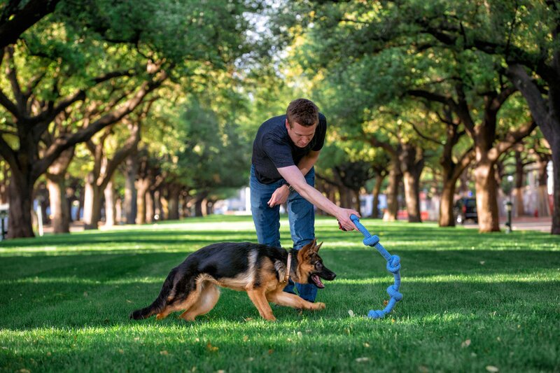 Young man plays with a German Shepherd puppy at SMU in Dallas.