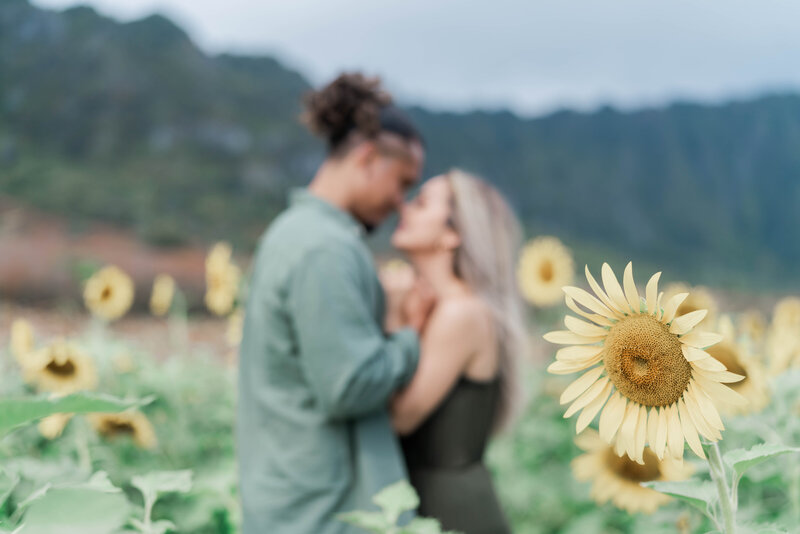 Hawaii Engagement Photographer
