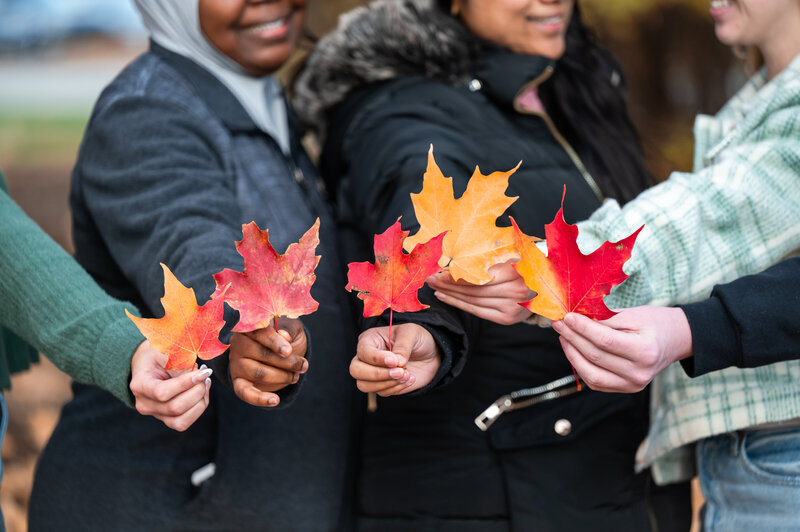 241101_Fall Leaves-110657