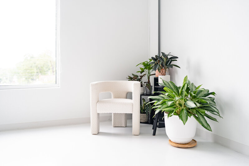 The-Daylight-Room-CLT-Jun-2023-02615