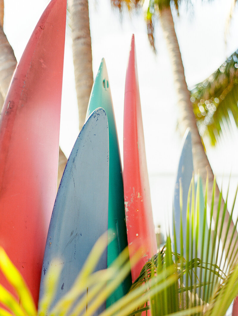 Surfboards_JackieFox_Printshop