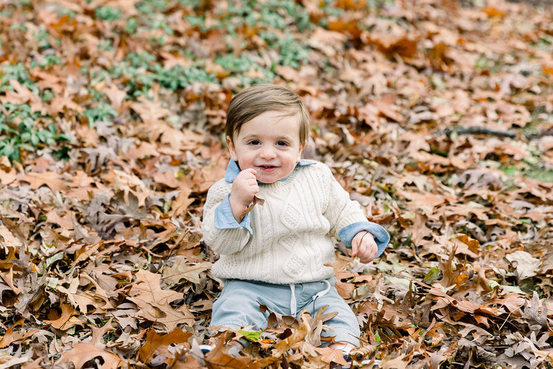 chicago family photographers