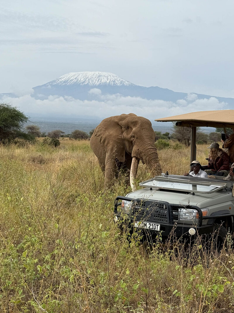 In Situ Travel Design-7