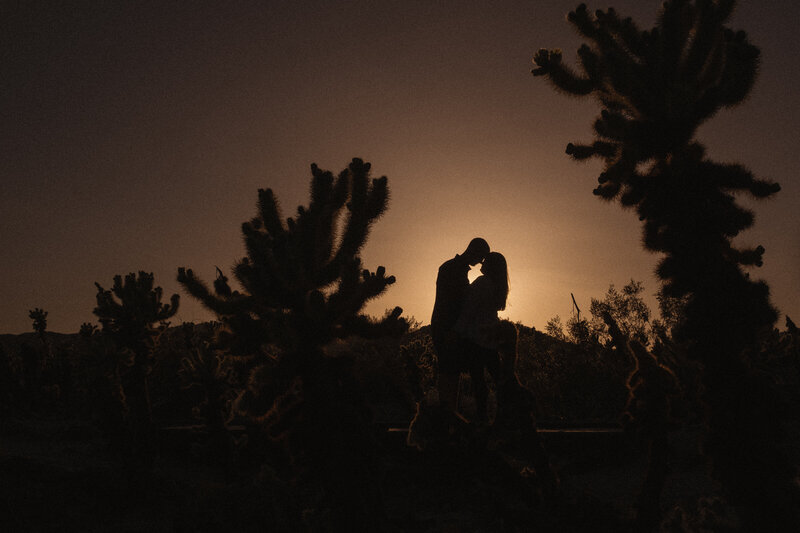image of a silhouette of a couple amongst the joshua trees after their intimate destination wedding ceremony