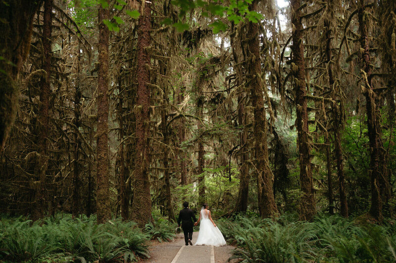 Eloping couple walking through a forest of moss-covered trees | Elopement Photo Ideas 