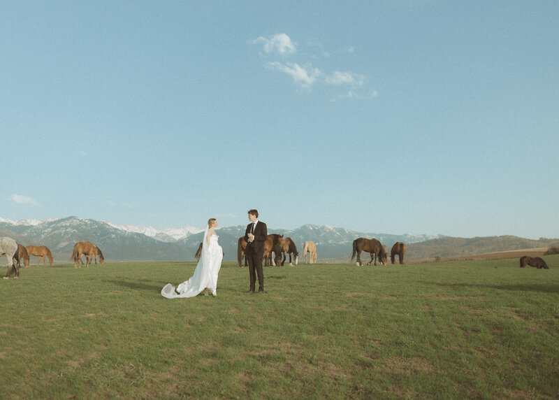 Teton-horses-elopement-5-12-25-Megan-Schukei-Photography-141
