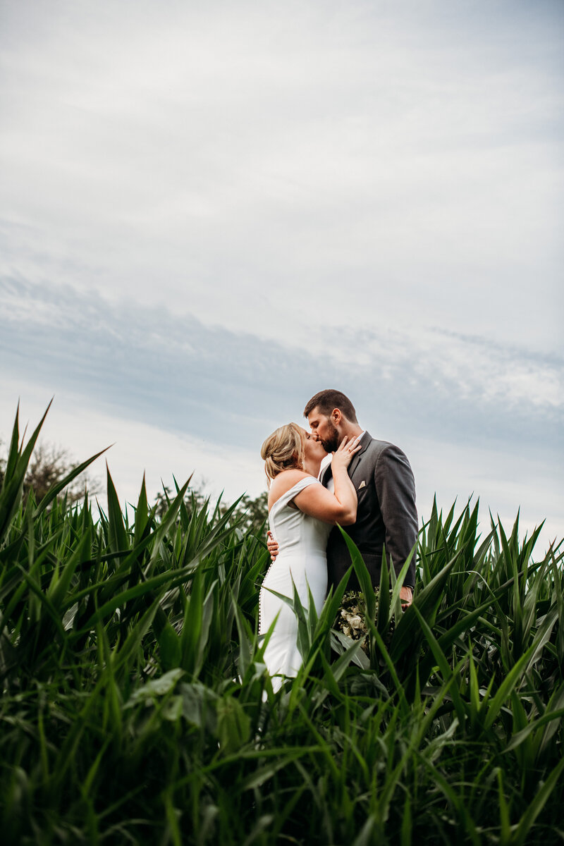 Bride and groom kissing in a corn field