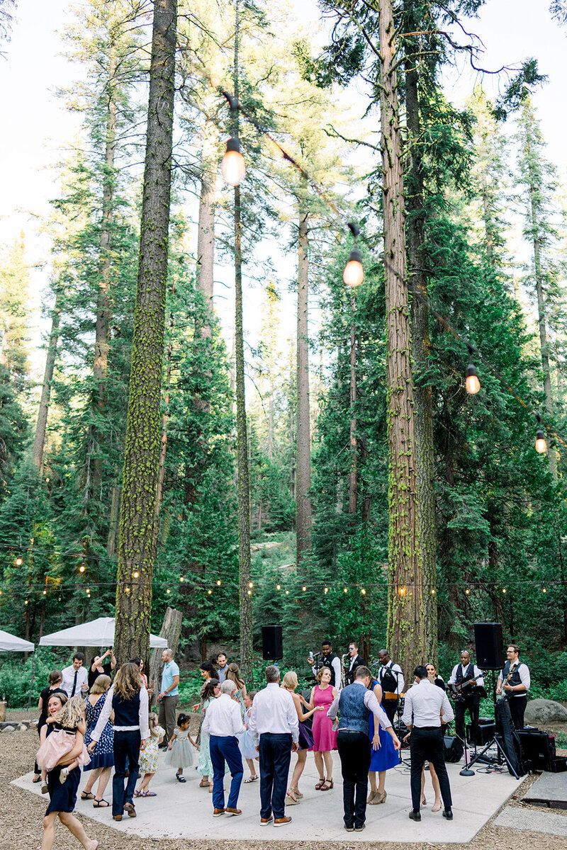 Tiffany Longeway Photography captures a magical wedding reception under the towering redwoods at The Redwood Grove, Meadowood Napa Valley. Guests dance and celebrate amidst twinkling lights and natural beauty, creating an unforgettable atmosphere. This idyllic setting is perfect for couples seeking a luxurious and enchanting outdoor wedding experience in Napa Valley’s premier venue.