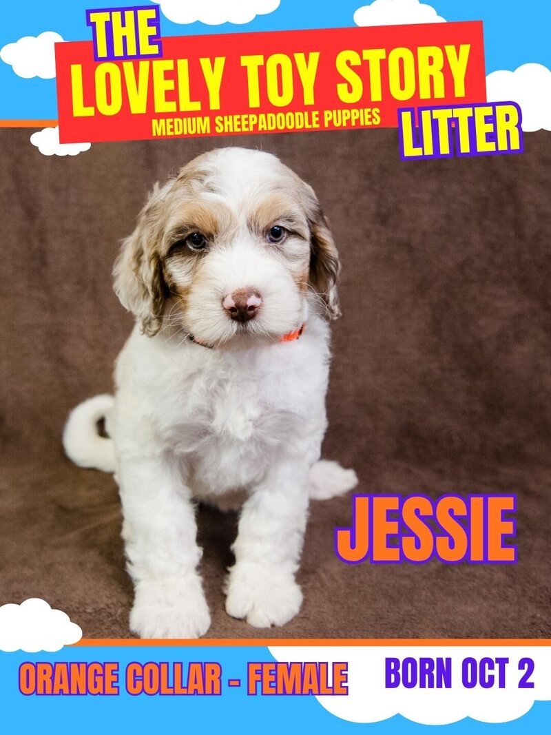 Toy Story - Orange Jessie Female