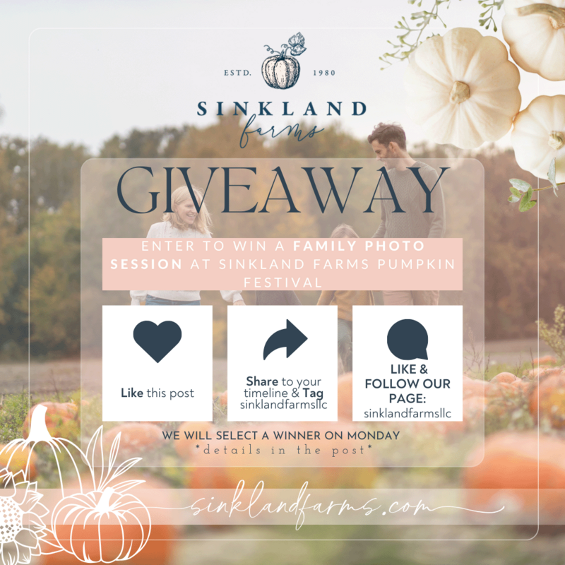 2024Sinkland-Farms_Pumpkin-Festival_Creative-Designs-by-Renee_Giveaway