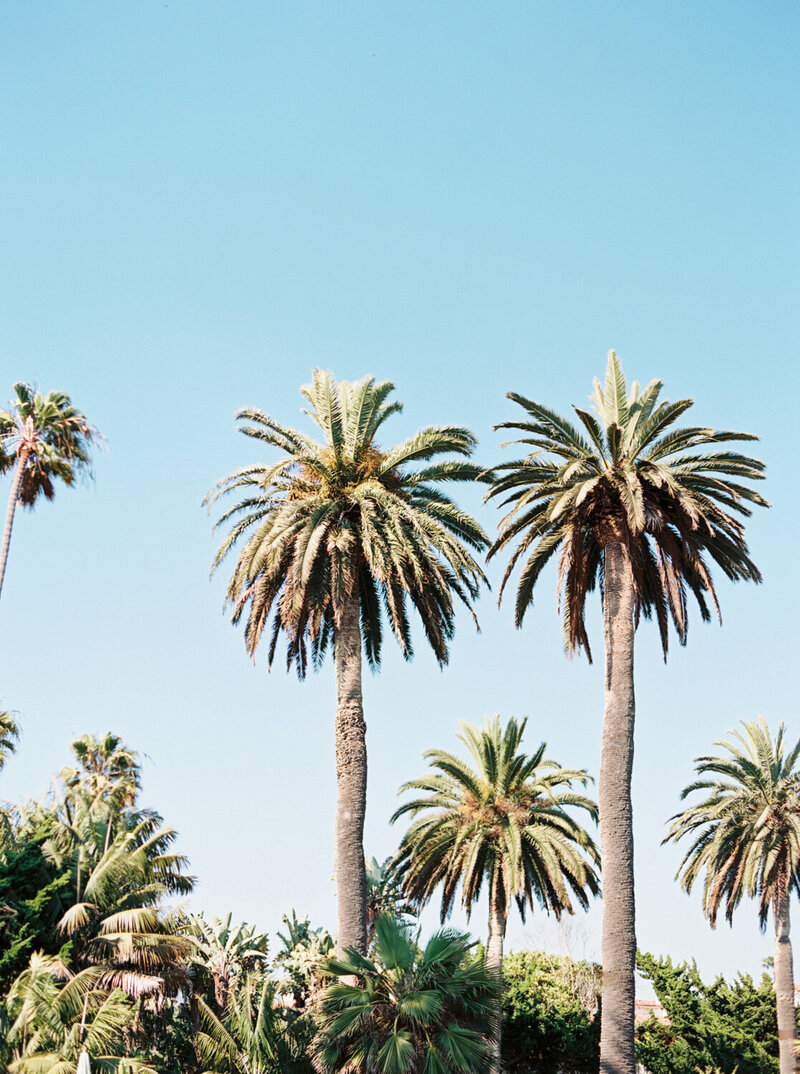 California wedding photographer luxury