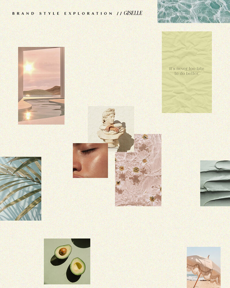 Giselle Moodboard copy