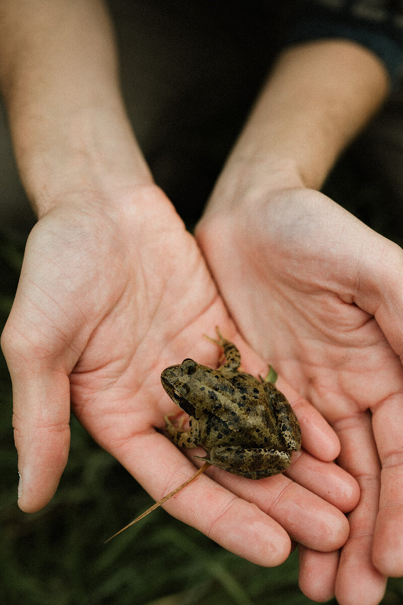 Gezin, bos, natuur, reportage, kinderen, Herentals