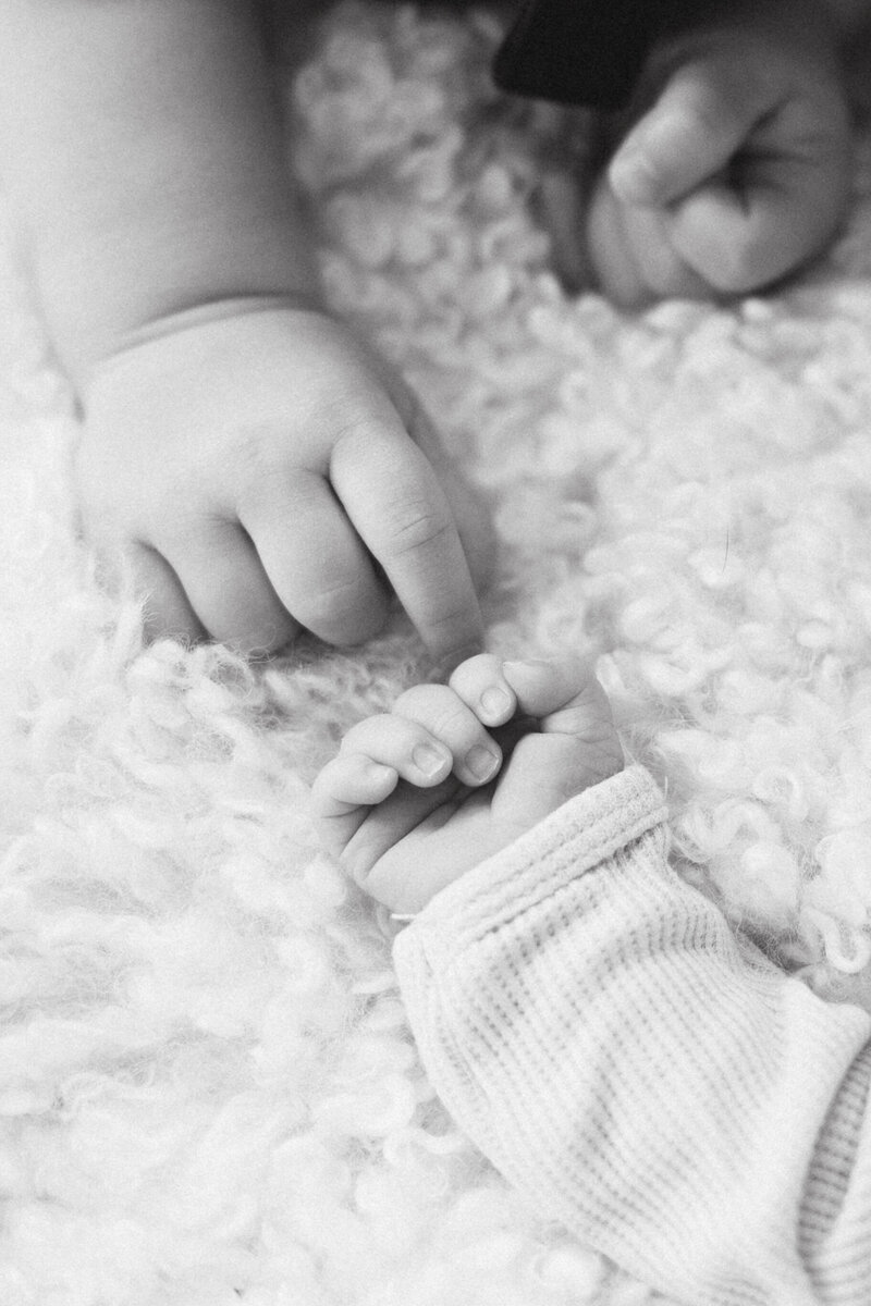 sydneykerbysonphotography-9934-3