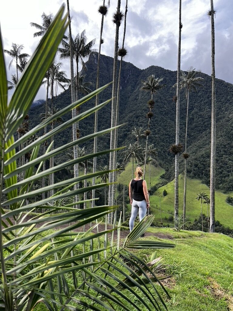 A07BF058-A6A5-483D-9FBB-E8DED7D08558_1_105_c