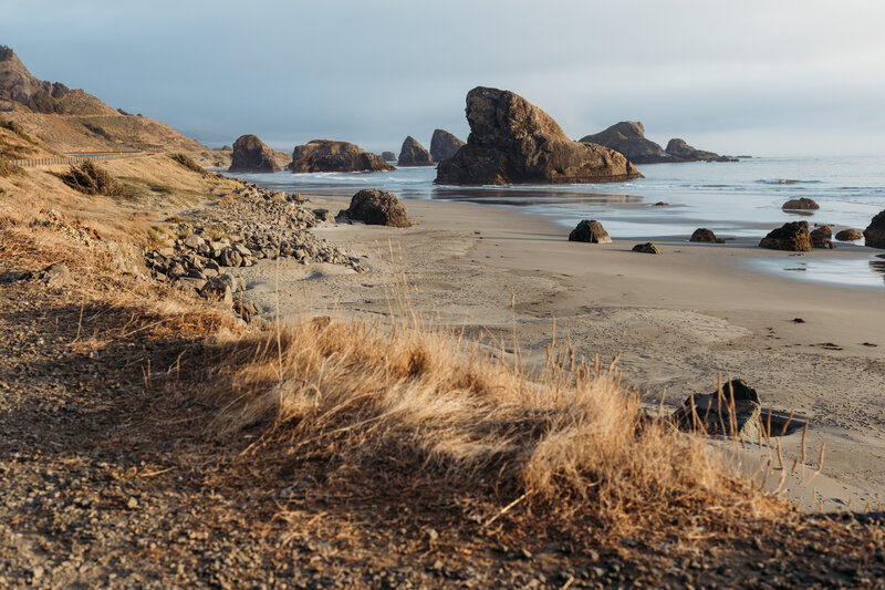 Pacific coast highway beach in Northern California taken by Tampa photographer Tina Marie Studio