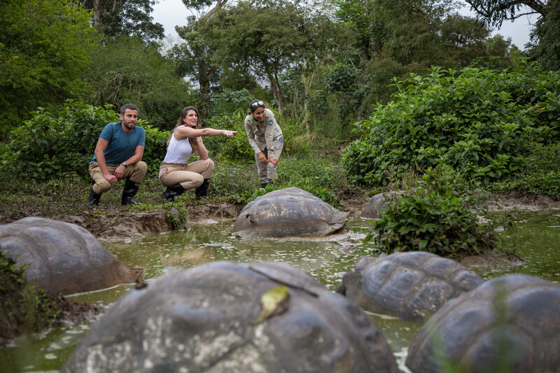 Waterstone - Metropolitan Touring- Ecuador - Luxury Destination Management Services - Galapagos-Experience-Manzanillo-Santa-Cruz-guide-turtles
