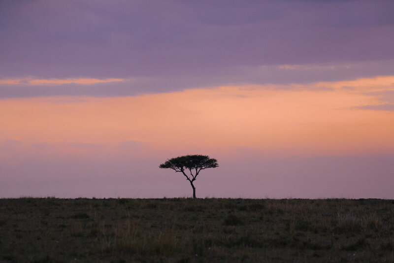 safariedited-243