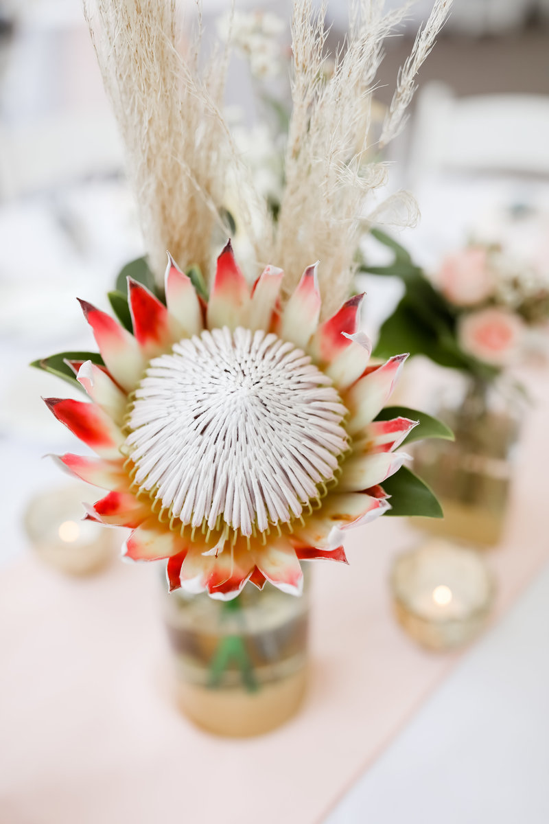 Lifelong_Photography_Studio-582