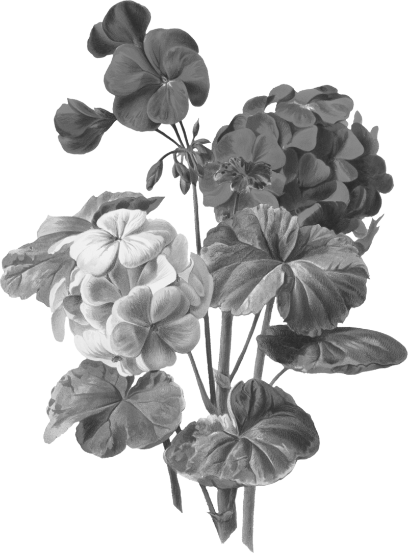 large bundle of florals