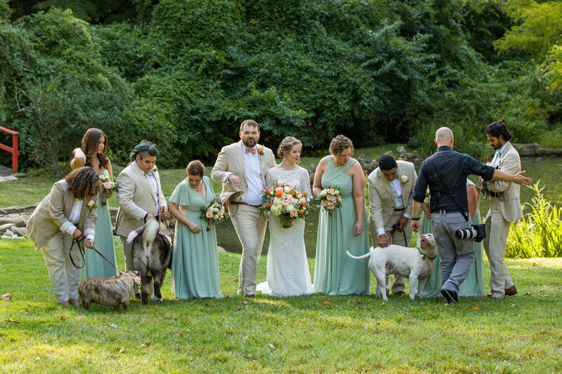 Photographer arranging a joyful bridal party portrait with the bride, groom, and dogs at the picturesque Appleford Wedding Venue.