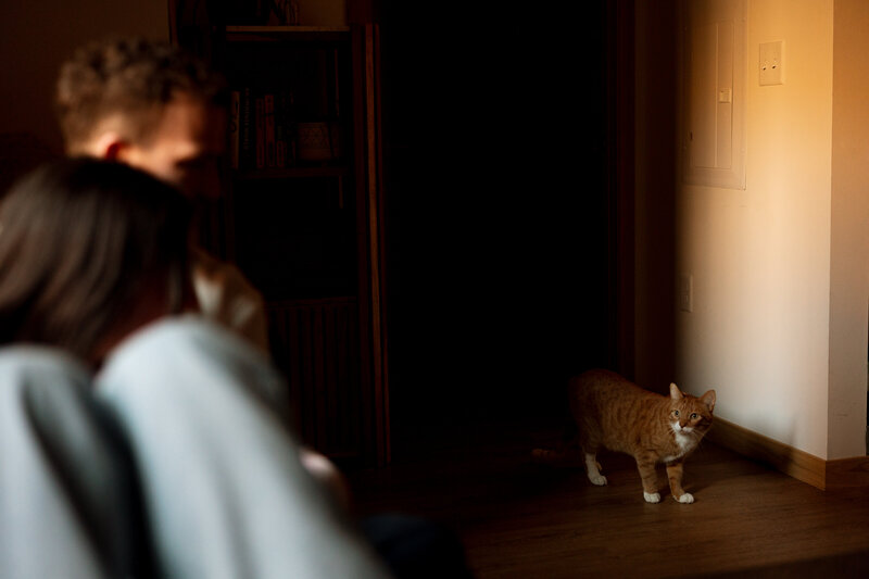 couple looks at cat while they sit on couch