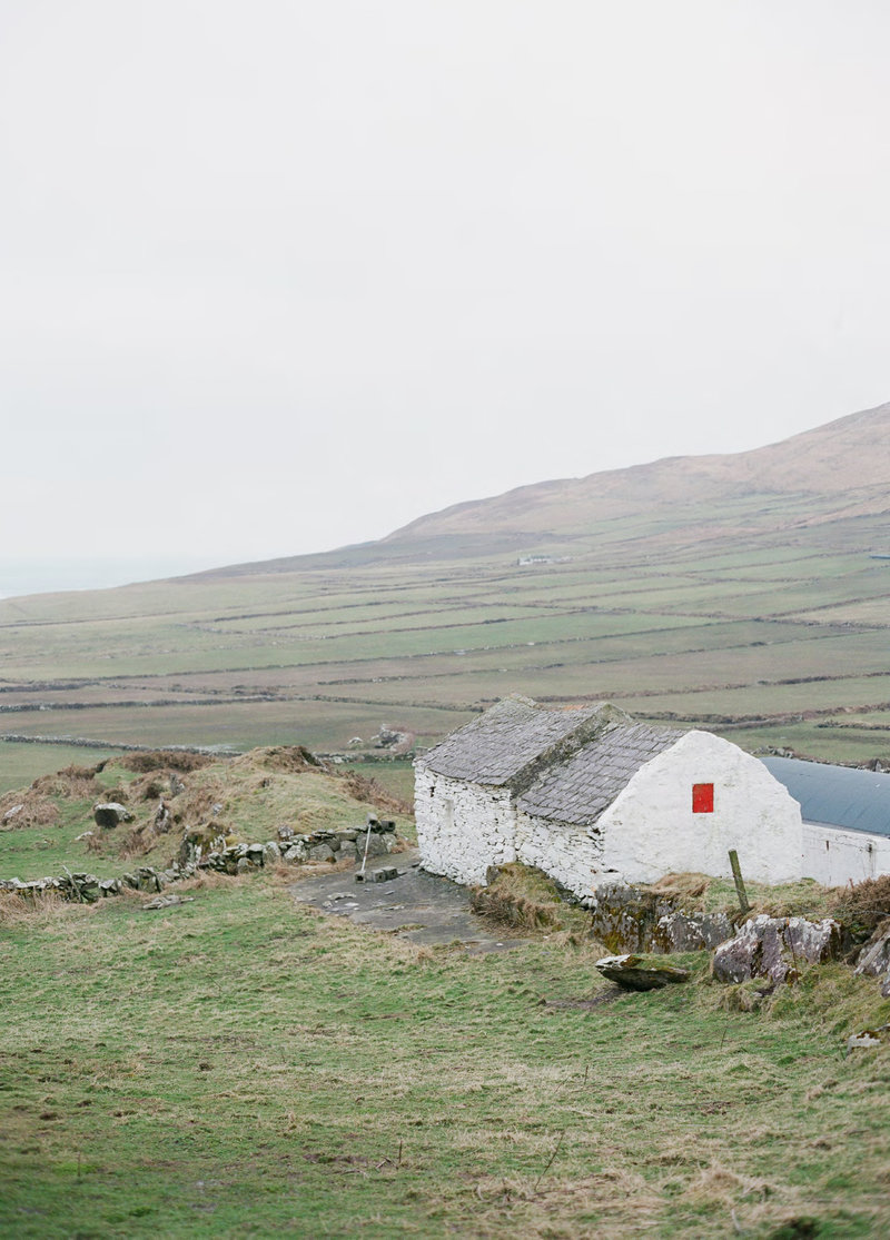 Ireland_Lamb-3bc