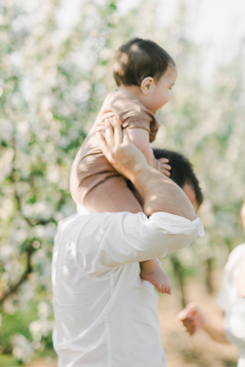 Terri-Lynn Warren Photography Halifax Family Photographer Apple Blossom Minis-3469