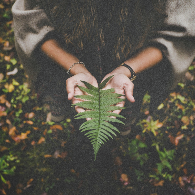 woman holding a fern leaf