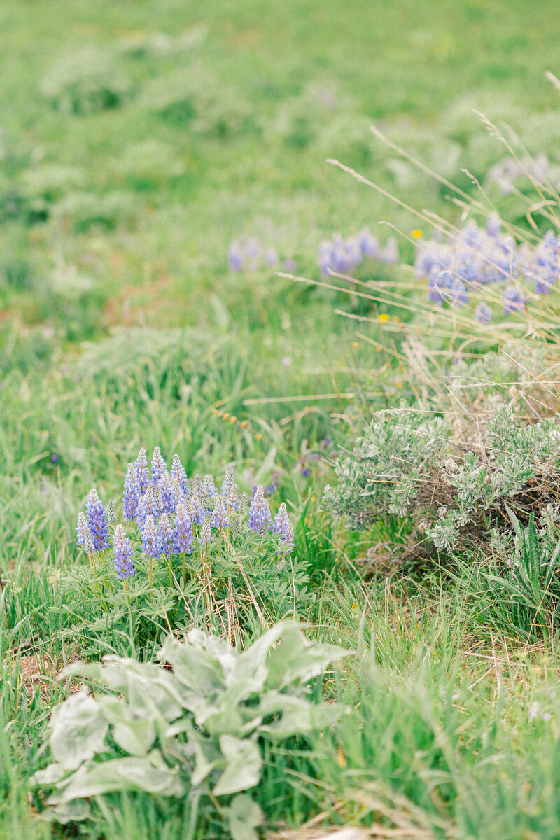 Granby-Ranch-Wedding-Photographer-26