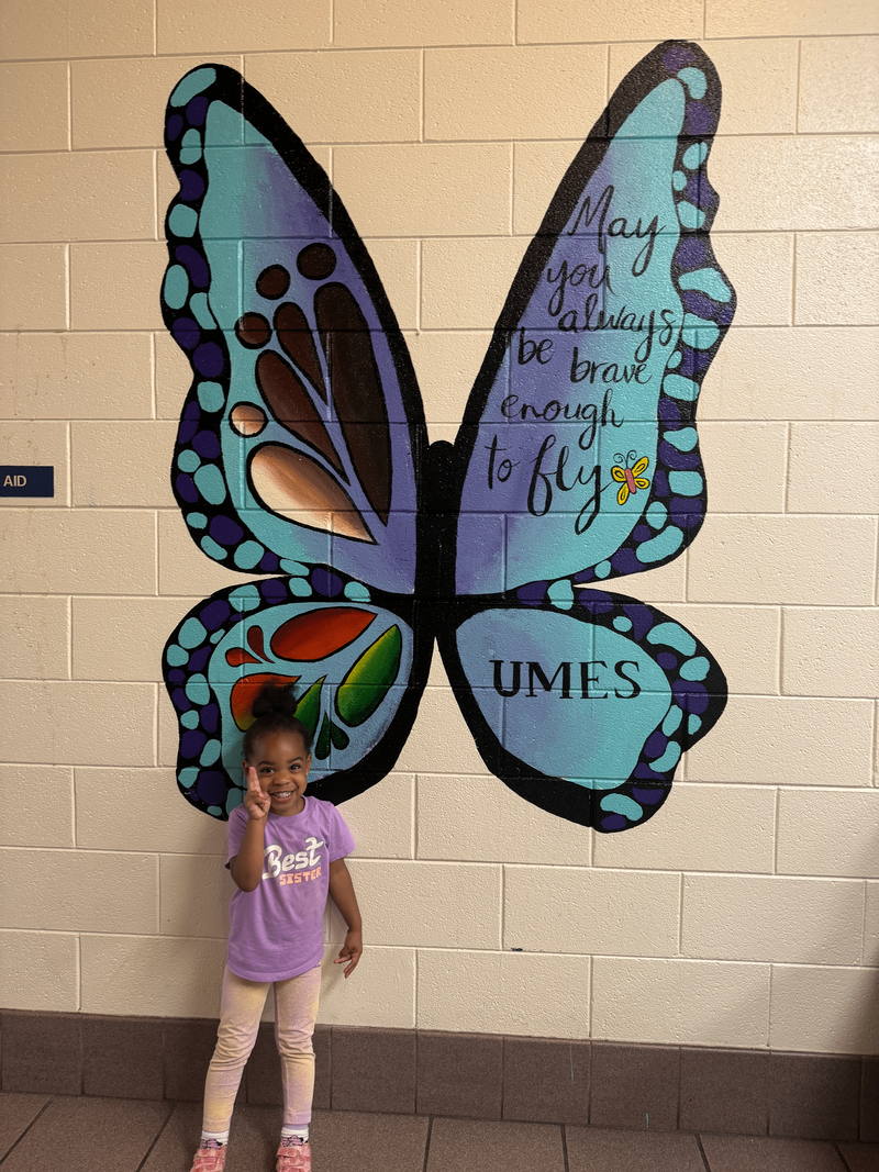 Butterfly wall art by Dashia Golden