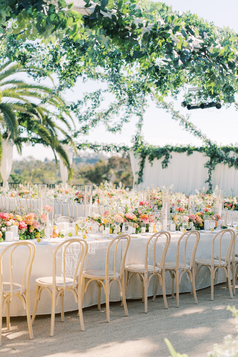 Outdoor wedding with wire tent above covered in trailing ivy, there are large palm leaves, and pink and yellow flowers decorating the space.