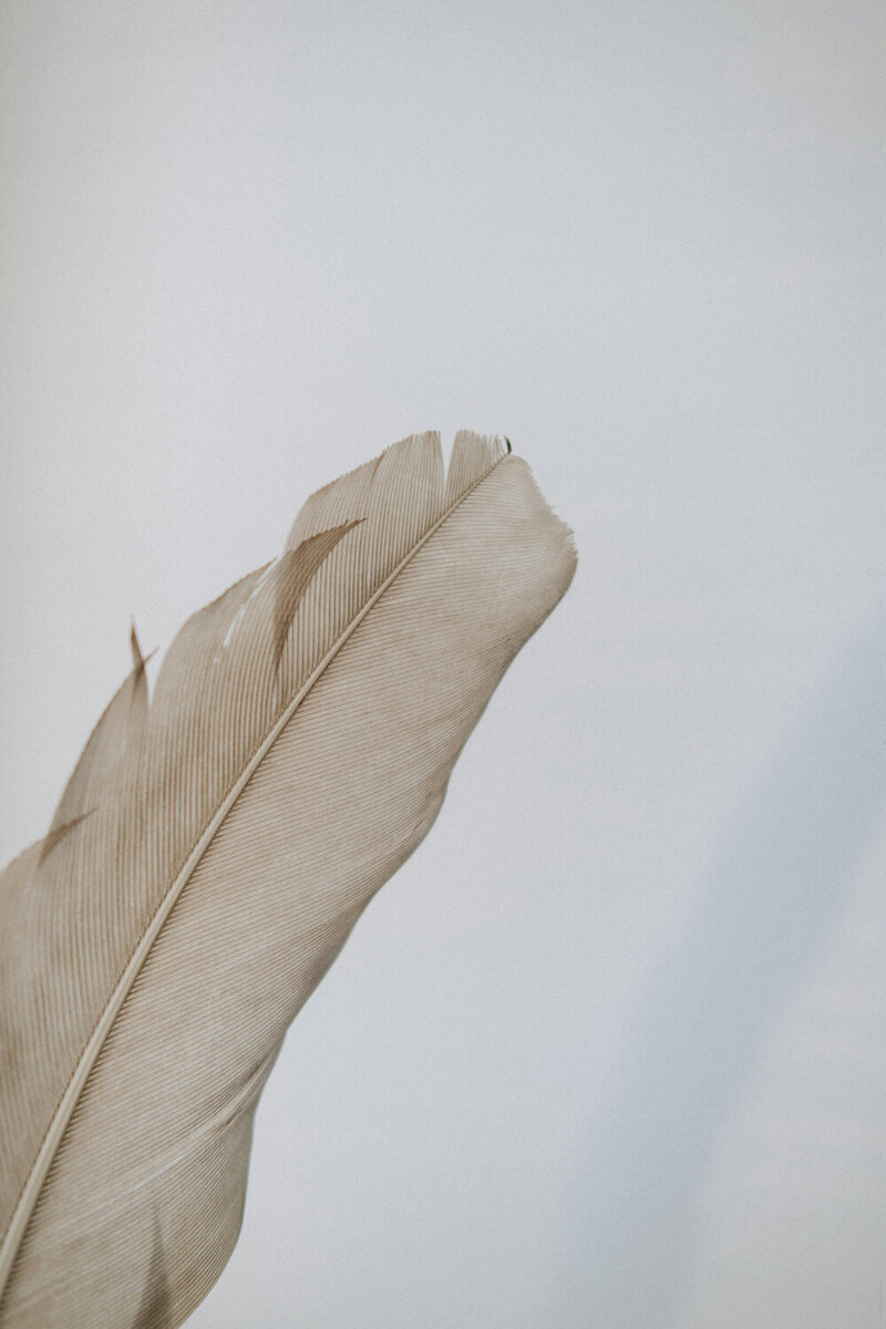 pexels-anete-lusina-6331030
