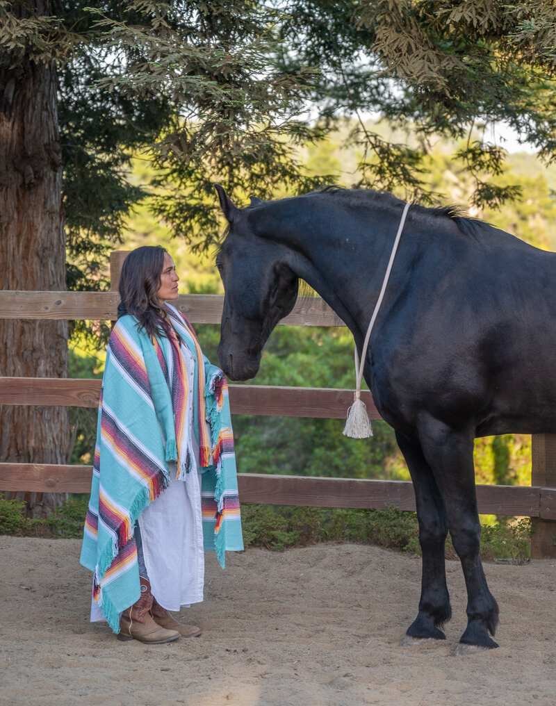 Equine Programs, Intuitive horsemanship